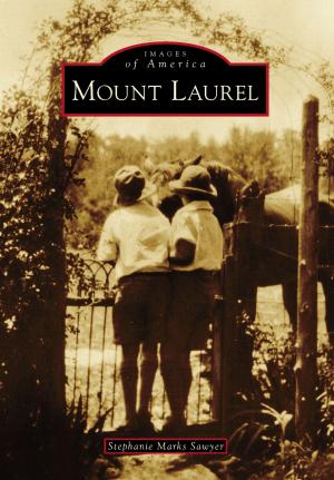 Cover of the book Mount Laurel by Tom Nesbitt, Zelienople Historical Society