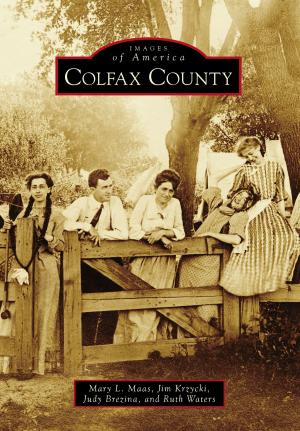 Cover of the book Colfax County by Karen Sisulak Binder