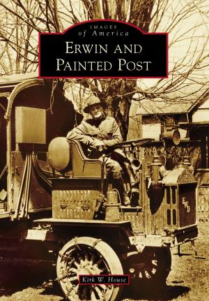Cover of the book Erwin and Painted Post by Alpheus J. Chewning