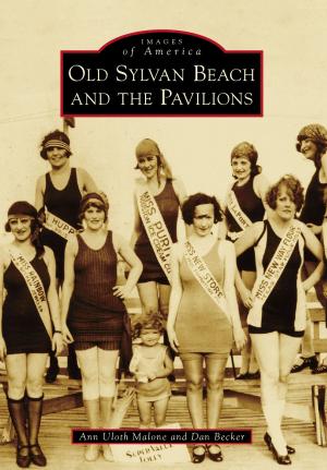 Book cover of Old Sylvan Beach and the Pavilions