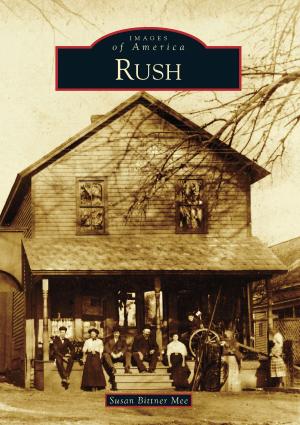 Cover of the book Rush by Page Putnam Miller