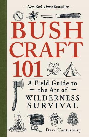 Cover of the book Bushcraft 101 by Steve Bookbinder, John K Waters, Joe Doran