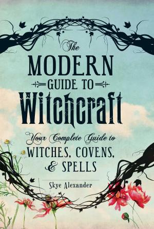 Cover of the book The Modern Guide to Witchcraft by Sean Andrews