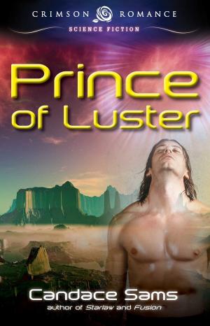 Cover of the book Prince of Luster by Monica Tillery