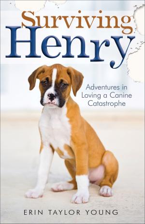bigCover of the book Surviving Henry by 