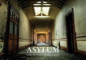 Cover of the book Asylum by Robert Nicholls