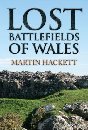 Cover of the book Lost Battlefields of Wales by Dave Tomlinson