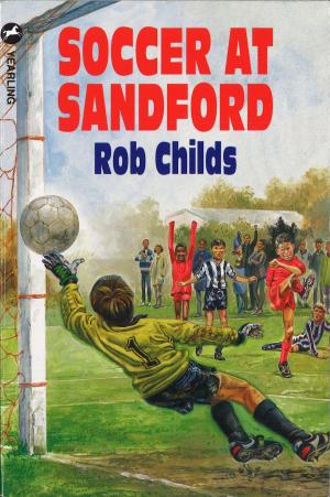 Cover of the book Soccer At Sandford by John Dickinson