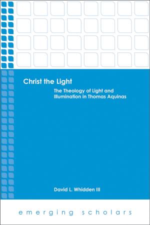 Cover of the book Christ the Light by Alexei V. Nesteruk