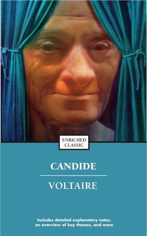 Cover of the book Candide by A. J. Langguth