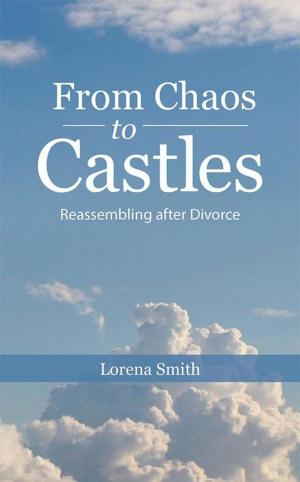 bigCover of the book From Chaos to Castles by 