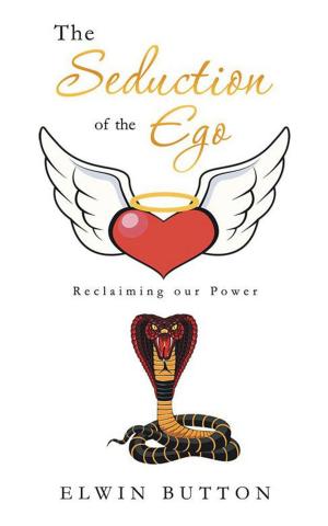 Cover of the book The Seduction of the Ego by Sarah Teleshevsky