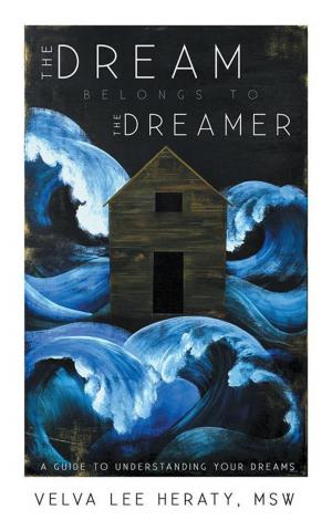Cover of the book The Dream Belongs to the Dreamer by Cheryl D Wade MD