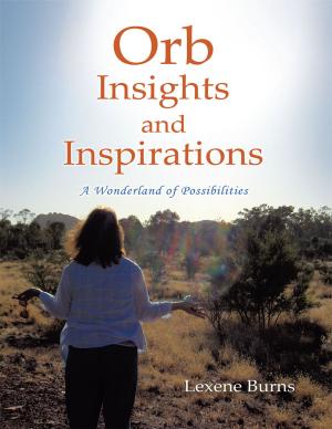 Cover of the book Orb Insights and Inspirations by Anne Sano Keller
