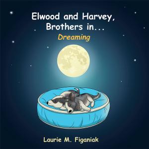 Cover of the book Elwood and Harvey, Brothers In... by Kenia Nuñez