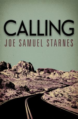 Cover of the book Calling by Ethelle Gladden