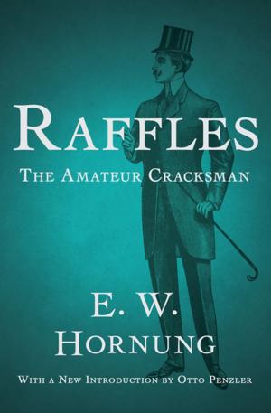 Cover of the book Raffles by John Kuykendall