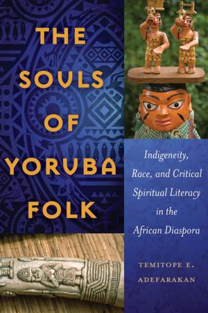 Cover of the book The Souls of Yoruba Folk by Marie-Anne Berron