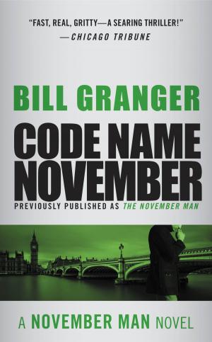 bigCover of the book Code Name November by 