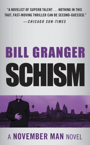 Cover of the book Schism by Dee Davis