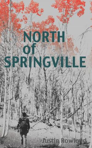 Cover of the book North of Springville by Bo Bennett, PhD