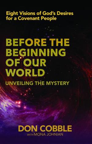 Book cover of Before the Beginning of our World
