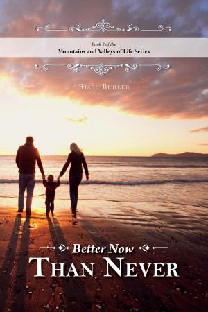 Cover of the book Better Now Than Never by Andrea Komorous