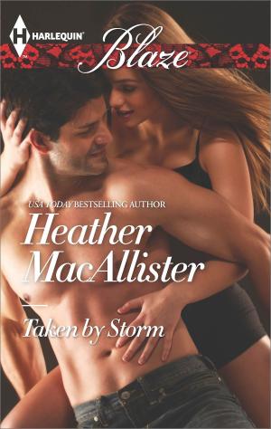 Cover of the book Taken by Storm by Amanda Siegrist
