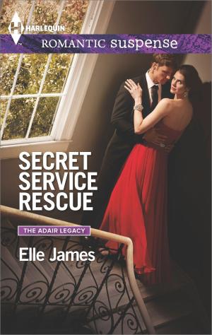 Cover of the book Secret Service Rescue by Sandra Robbins