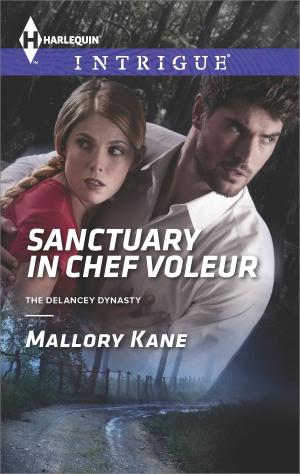 Book cover of Sanctuary in Chef Voleur