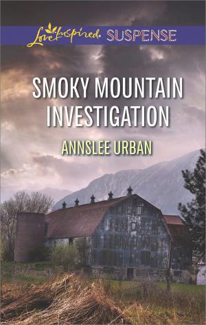 Cover of the book Smoky Mountain Investigation by Christine Scott