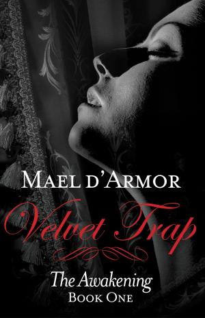 Book cover of Velvet Trap