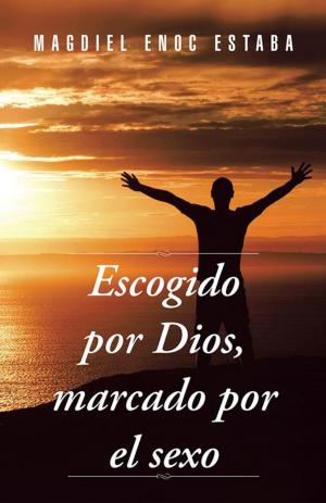 Cover of the book Escogido Por Dios, Marcado Por El Sexo by Ronny R. Flores