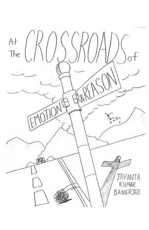 Cover of the book At the Crossroads of Emotion and Reason by Dra. María Esther Barradas Alarcón