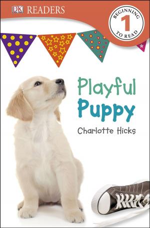Cover of the book DK Readers L1: Playful Puppy by DK Travel