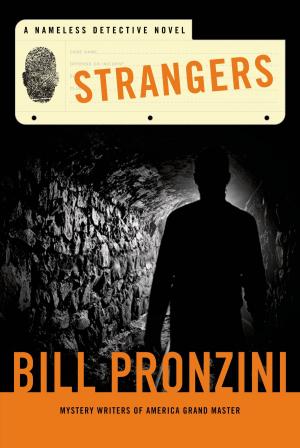 Cover of the book Strangers by MacKinlay Kantor