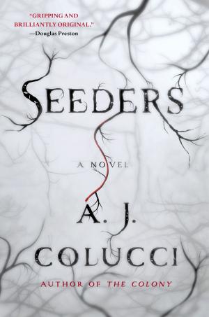 Cover of the book Seeders by S.N. Lewitt