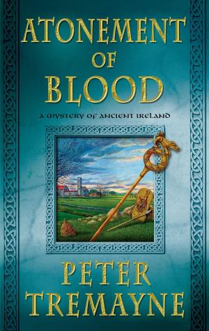 Cover of the book Atonement of Blood by Christine Trent