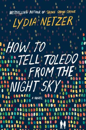 Cover of the book How to Tell Toledo from the Night Sky by Louise Lyons