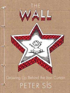 Cover of the book The Wall by Marie Rutkoski