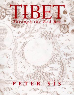 Cover of the book Tibet Through the Red Box by Deborah Diesen