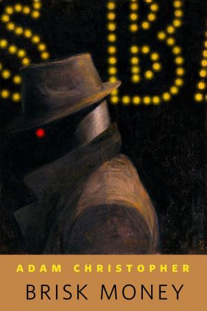 Cover of the book Brisk Money by Harry Turtledove