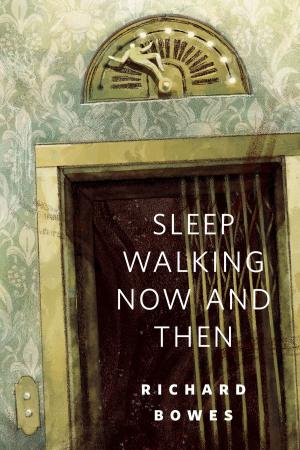 Cover of the book Sleep Walking Now and Then by Thomas Olde Heuvelt