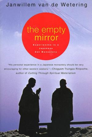 Cover of the book The Empty Mirror by Jessica Teich, Brandel France de Bravo