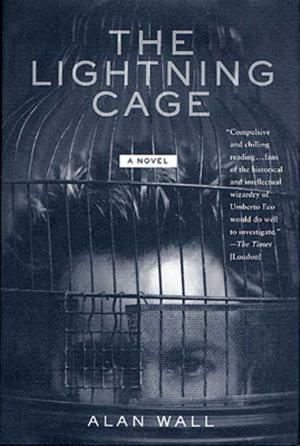 Cover of the book The Lightning Cage by Arnaldur Indridason