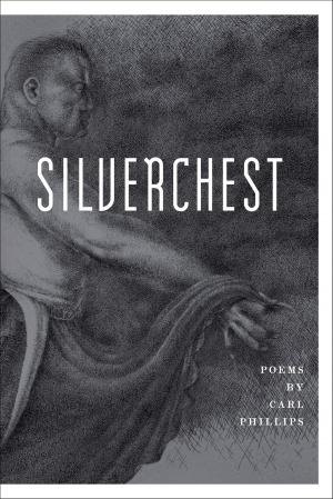 Book cover of Silverchest