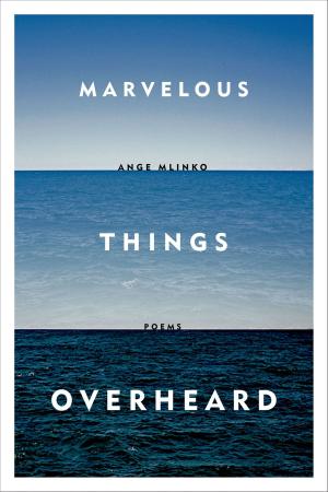 Cover of the book Marvelous Things Overheard by Jeff VanderMeer
