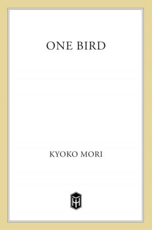 Cover of the book One Bird by Lish McBride
