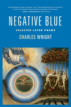 Book cover of Negative Blue