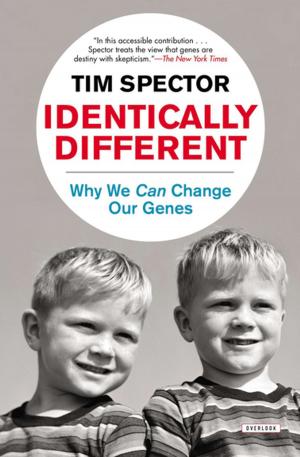 Cover of the book Identically Different by Matt Lewis, Renato Poliafito, Brian Kennedy